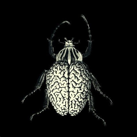 Brain Bug